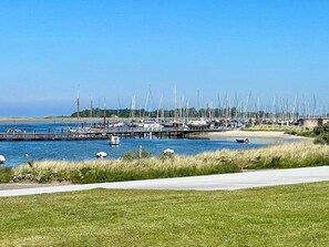 A marina with multiple boats docked, a clear sky, and a grassy area in the foreground.