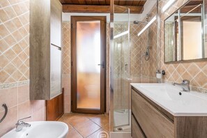 Shower, hair dryer, bidet, towels