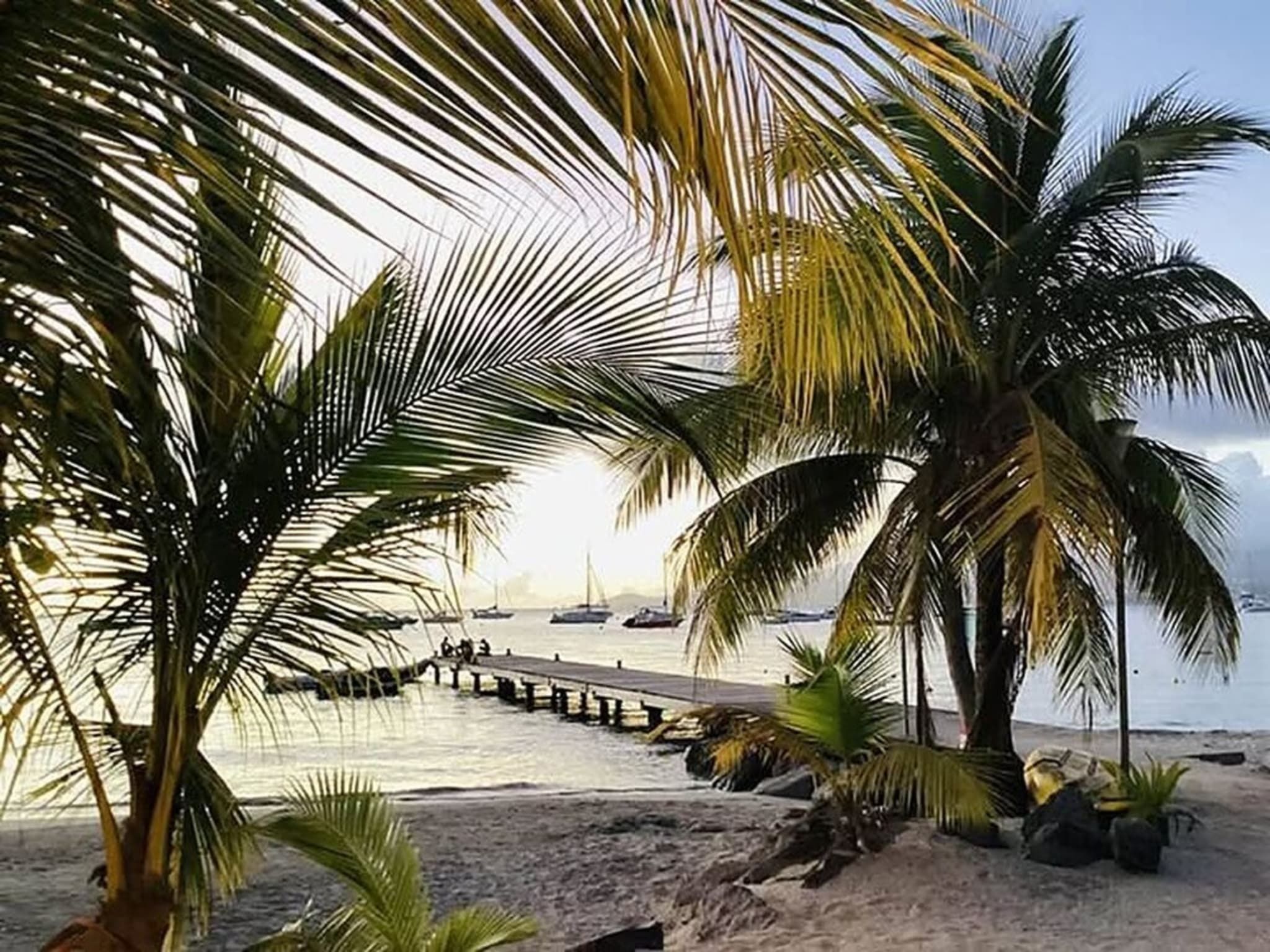 Ein Strand mit Palmen, einem Steg und Booten in der Ferne.