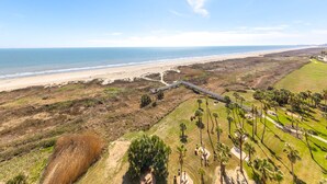 A coastal landscape with a beach, a walking path, and a park area with palm trees.