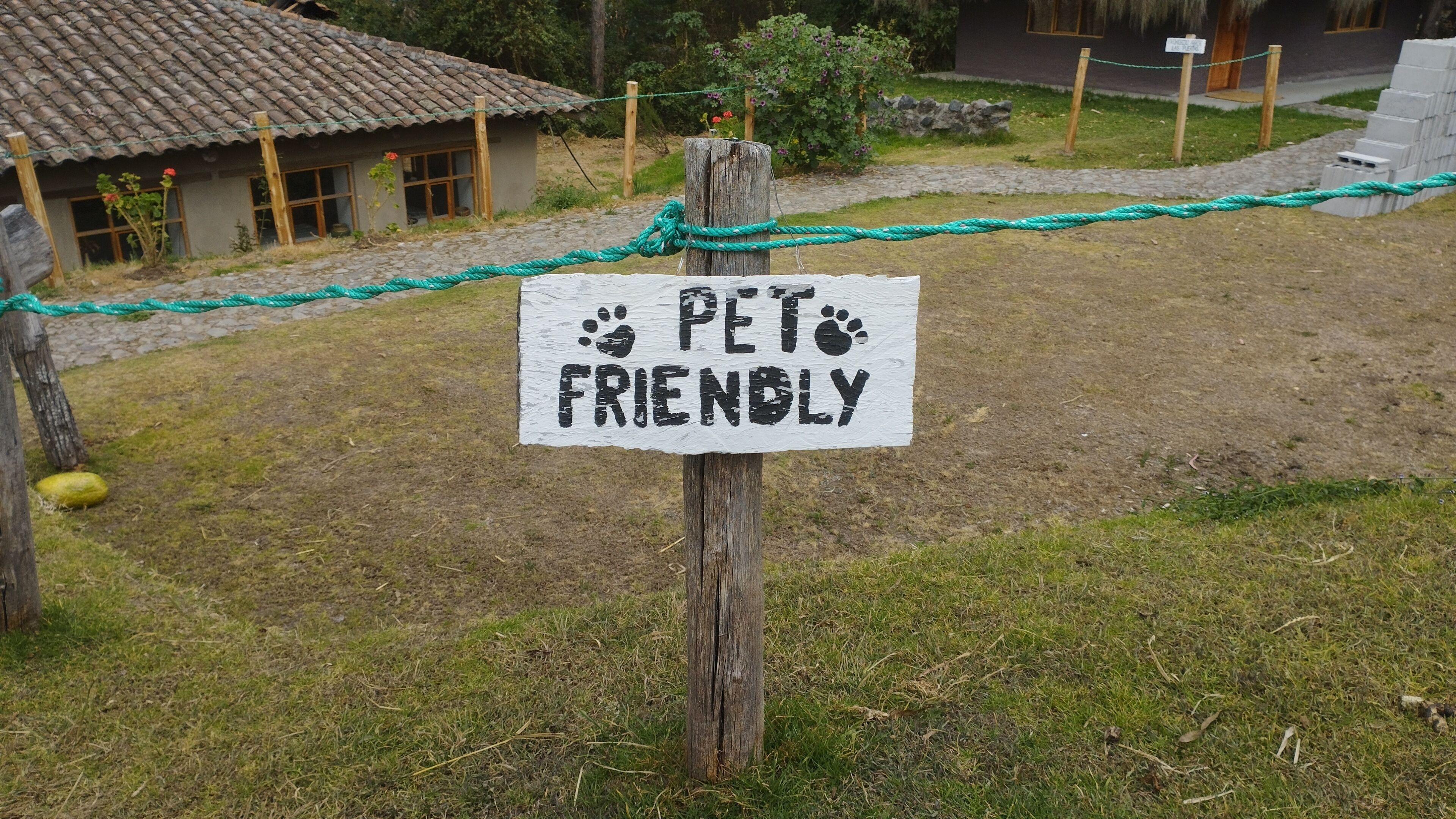 Un palo di legno con un cartello che indica 'PET FRIENDLY' e impronte di zampe.
