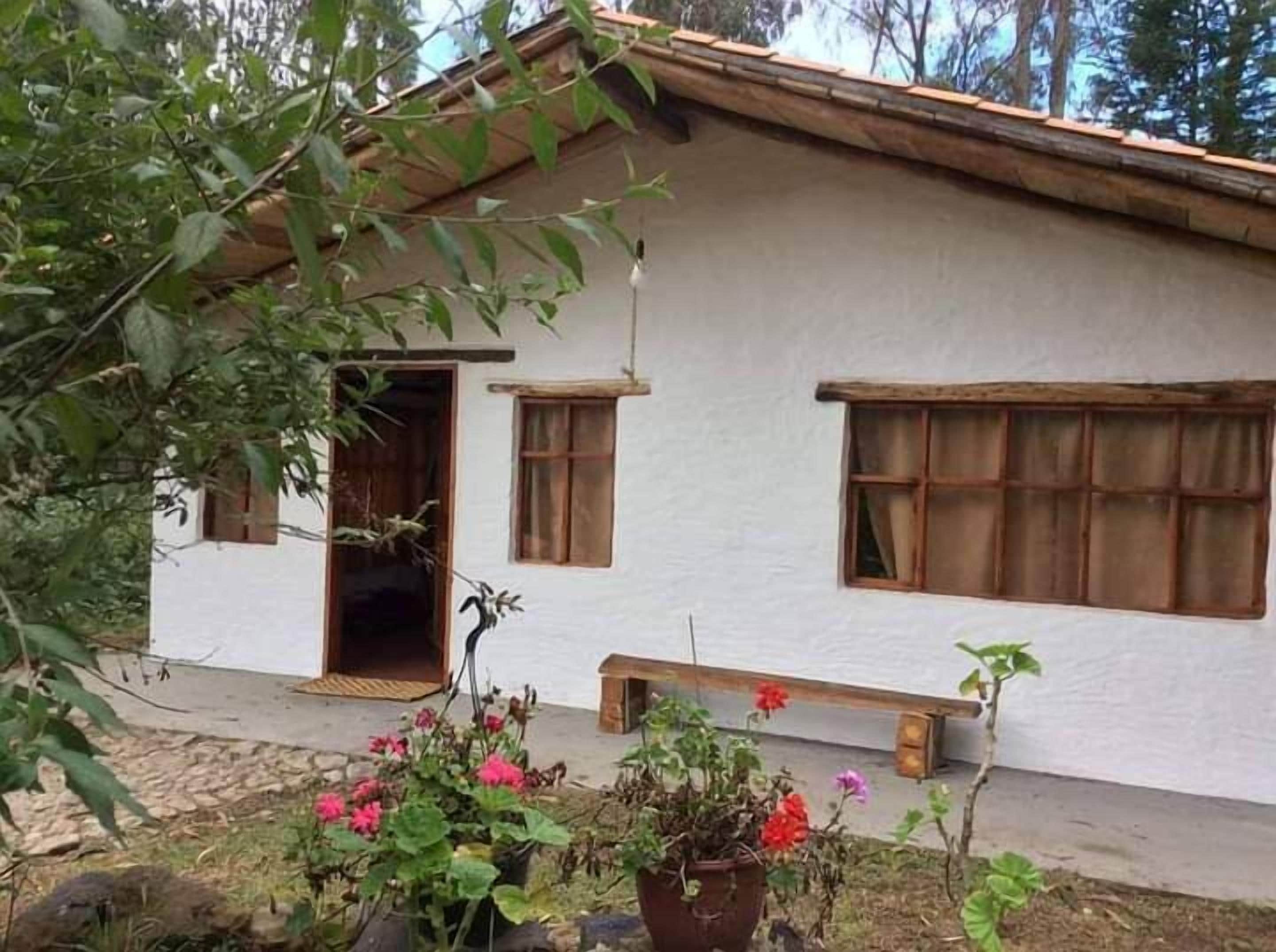 Un edificio blanco con dos ventanas y una puerta, rodeado de follaje y plantas en macetas.