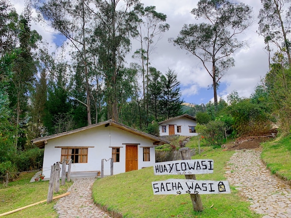 Una casa rústica con un sendero de piedra que lleva a ella, rodeada de exuberante follaje y árboles.