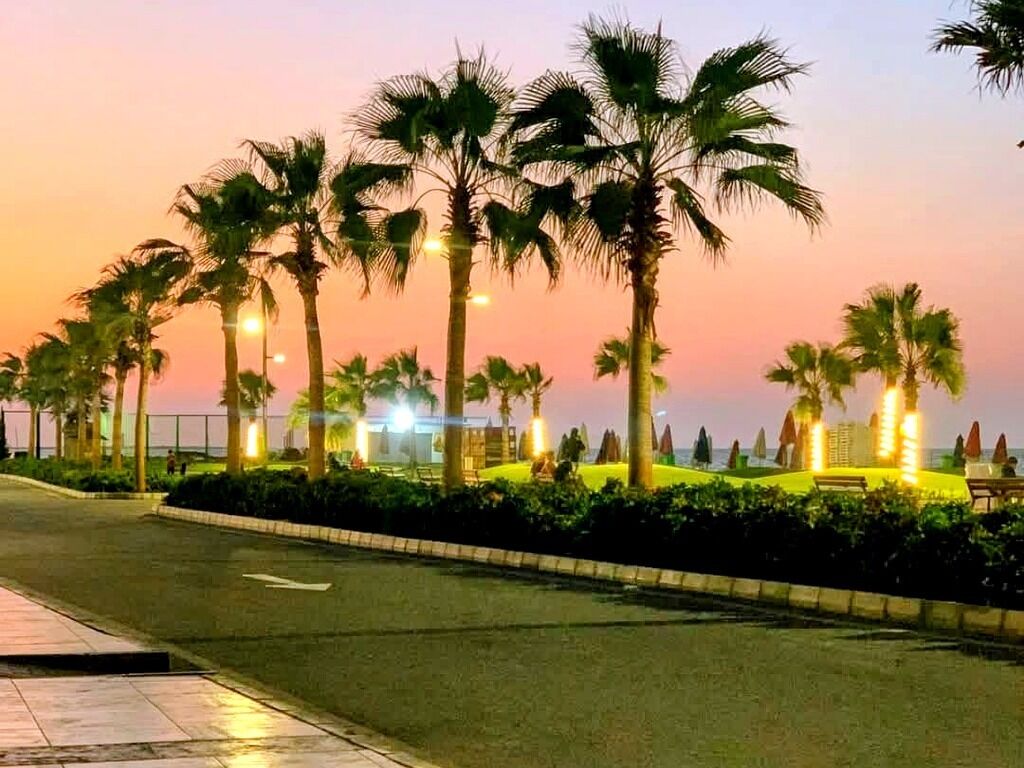 المنطقة المحيطة بالمنشأة