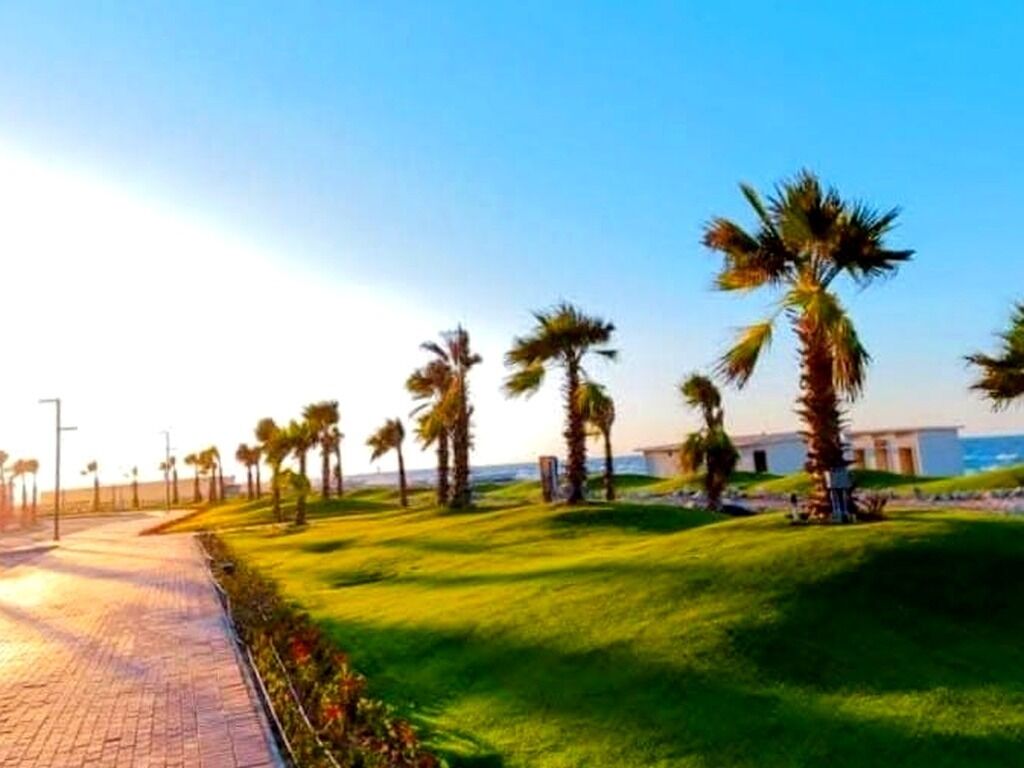 A pathway lined with palm trees and a building in the background.