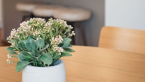 A modern kitchen with white cabinets, a stainless steel refrigerator, and a wooden dining table with a potted plant. - Banksia by the Bay (Collingwood Park)