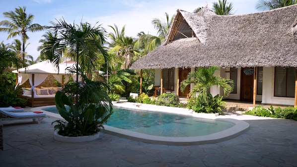 Outdoor pool - The Diamond of Africa - Luxury Villa (Malindi)