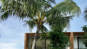 A modern villa with a stone facade, a covered entrance, and lush greenery including palm trees.