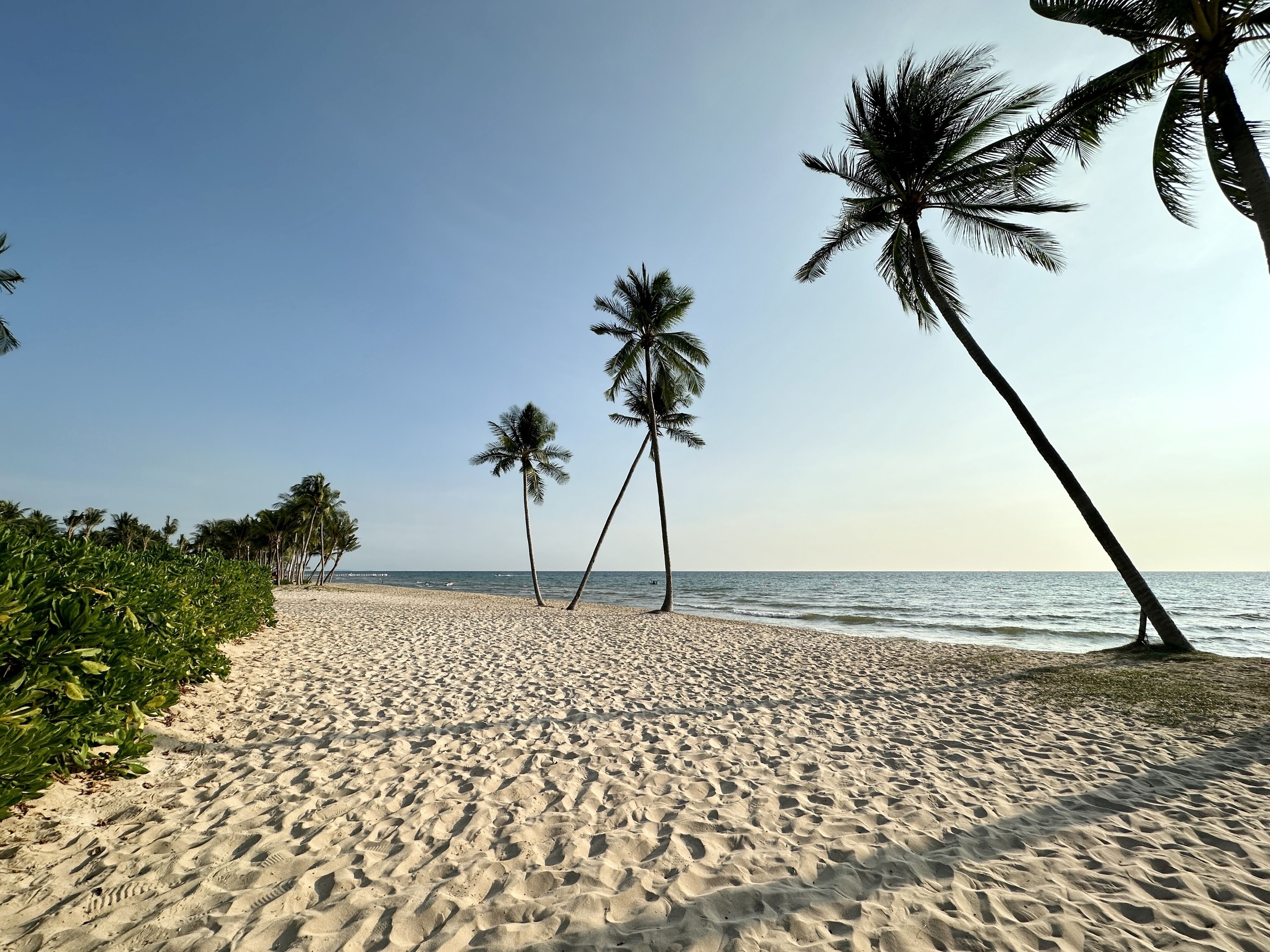 Privat strand i nærheten, buss til stranden (inkludert) og solsenger