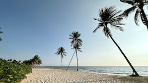 A sandy beach with palm trees and the ocean in the background.