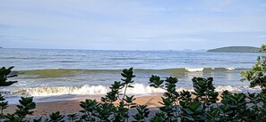 Tuala pantai 
