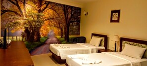 Delux double room | Vue de la chambre