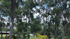Un sendero en un jardín con plantas y árboles diversos.