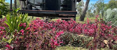 Jardines del alojamiento