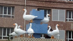 A sculpture of white ducks on a tiled structure with a building in the background. - Conference Hotel (Abeokuta)