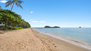 A beach with a palm tree, a pier, and a small island in the distance. - Alassio 1 Bedroom Ground Floor Pool Access 104/1 (Palm Cove)