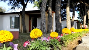 View from property - La Serra Holiday Village & Beach Resort (Sessa Aurunca)