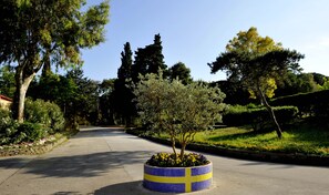 View from property - La Serra Holiday Village & Beach Resort (Sessa Aurunca)