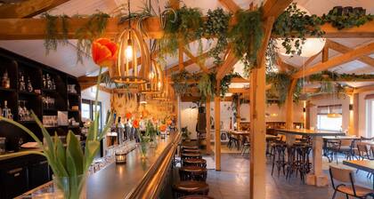 Ferienhaus im Wald mit Sternenhimmel-Dach