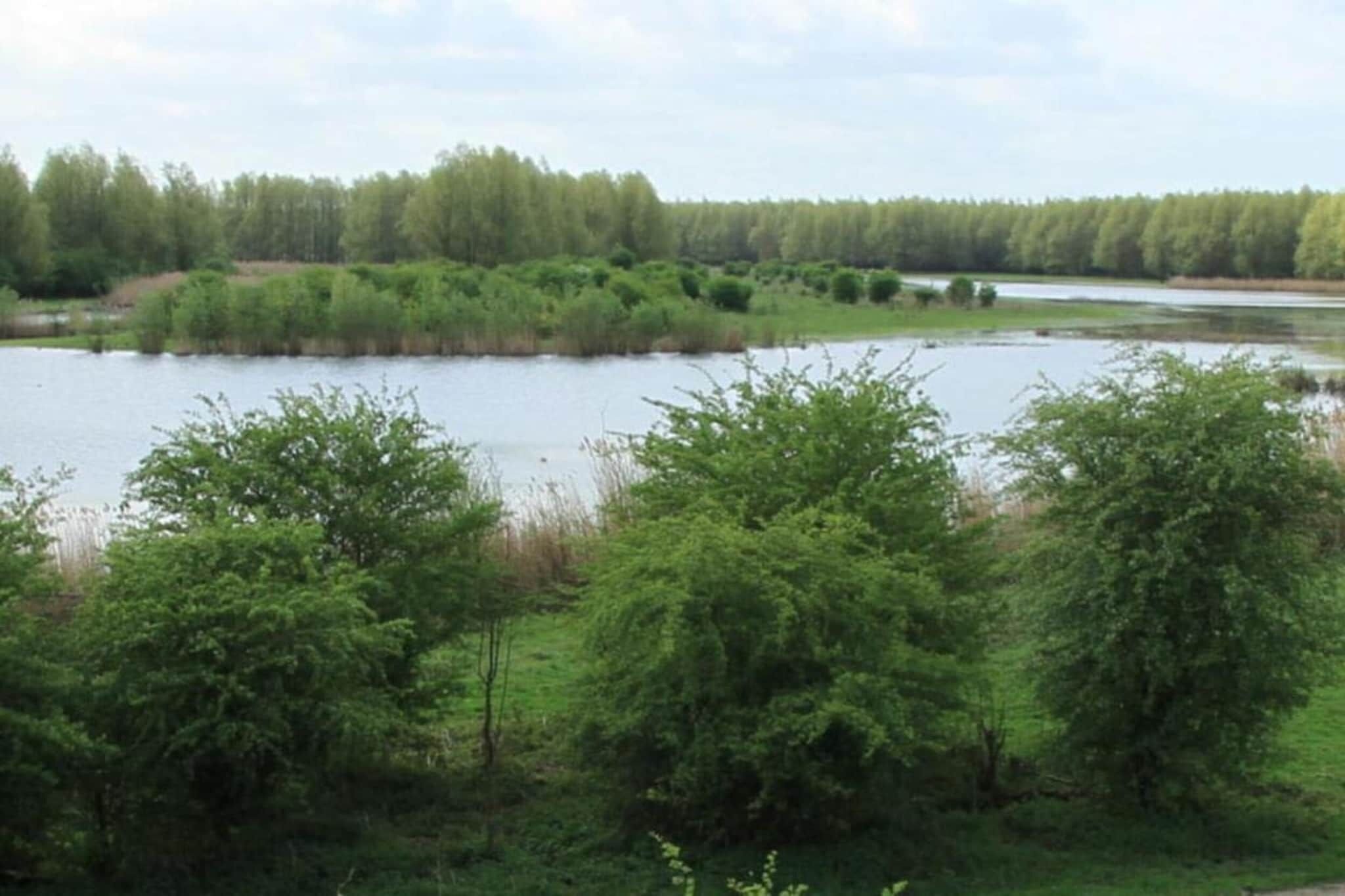 Paesaggio naturale con un lago, vegetazione lussureggiante e una foresta sullo sfondo.