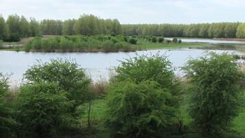 Paesaggio naturale con un lago, vegetazione lussureggiante e una foresta sullo sfondo.