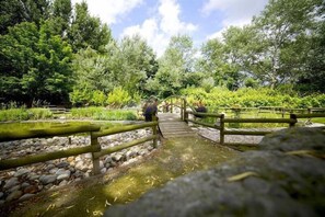 Áreas de la propiedad