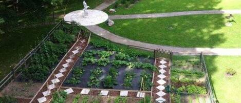 A garden with a central fountain, a paved walkway, and raised garden beds with plants.
