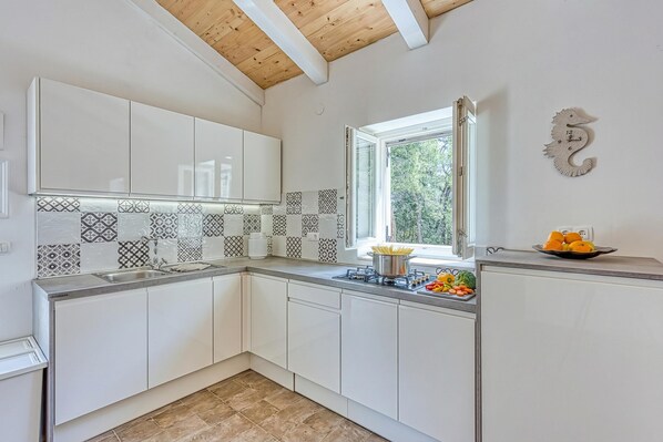 Casa familiare, camere multiple (Eco House Casa Grigia Zabodarski) | Cucina privata | Frigorifero, piano cottura, tostapane, pentole/stoviglie/utensili