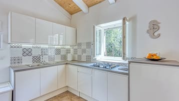 Casa familiar, varias habitaciones (Eco House Casa Grigia Zabodarski) | Cocina privada | Refrigerador, parrilla de estufa, tostadora y utensilios de cocina