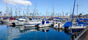 Marina