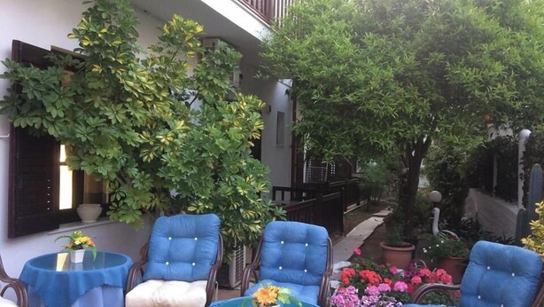 Un patio con sillas y mesas azules, rodeado de follaje y plantas en macetas.