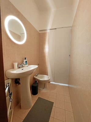 Een douche, een haardroger, een bidet, handdoeken