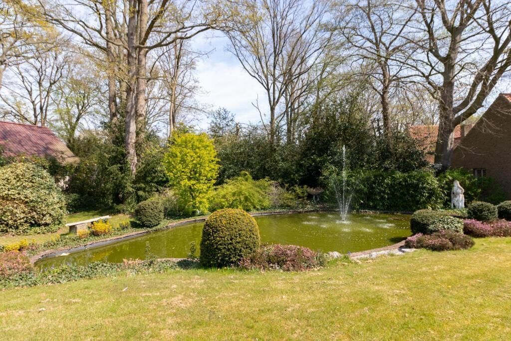 A garden with a pond, a fountain, and various shrubs and trees.