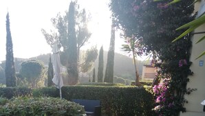 Un jardín con una cerca de metal, un banco y diversas plantas.