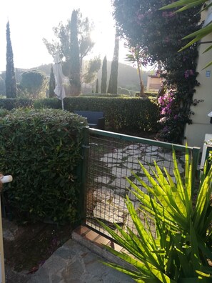 Een tuin met een metalen hek, een bank en verschillende planten.