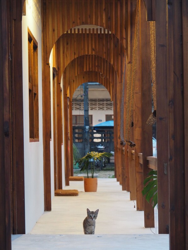 Exterior - Makai NAP (Thai Mueang)