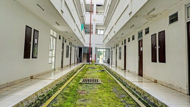 Un long couloir étroit, avec un chemin central verdoyant, recouvert de mousse, et un poteau rouge au milieu.
