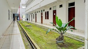 Un couloir doté d’un sol carrelé, d’un grand bac à plantes recouvert de mousse verte et orné d’une plante à grandes feuilles, ainsi que d’une série de portes avec des fenêtres sur le côté droit.