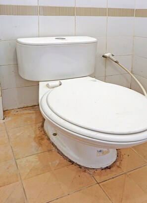 Chambre avec lits jumeaux | Salle de bain | Douche, serviettes fournies