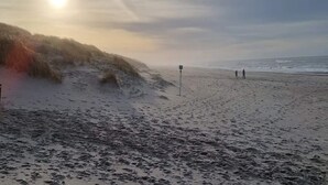 A beach with a sandy shore, waves, and a few people walking. - 6 Person Holiday Home in Henne (Henne)