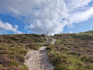 A gravel path leading uphill through a heather-covered landscape. - 6 Person Holiday Home in Henne (Henne)