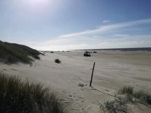 En sandstrand med sanddyner och en klar himmel.