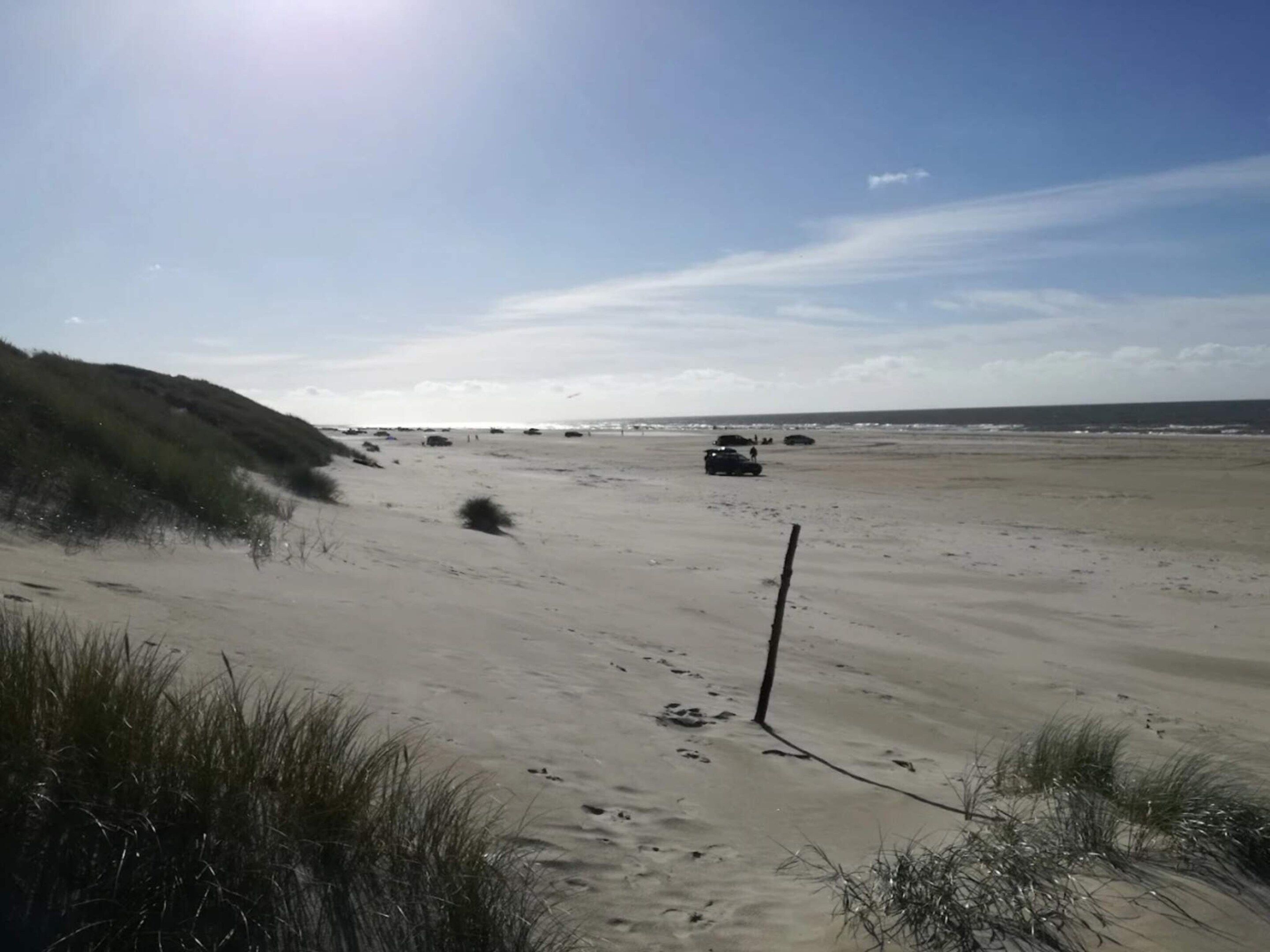 A beach with dunes and a clear sky.