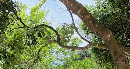 Charming villa with swimming pool