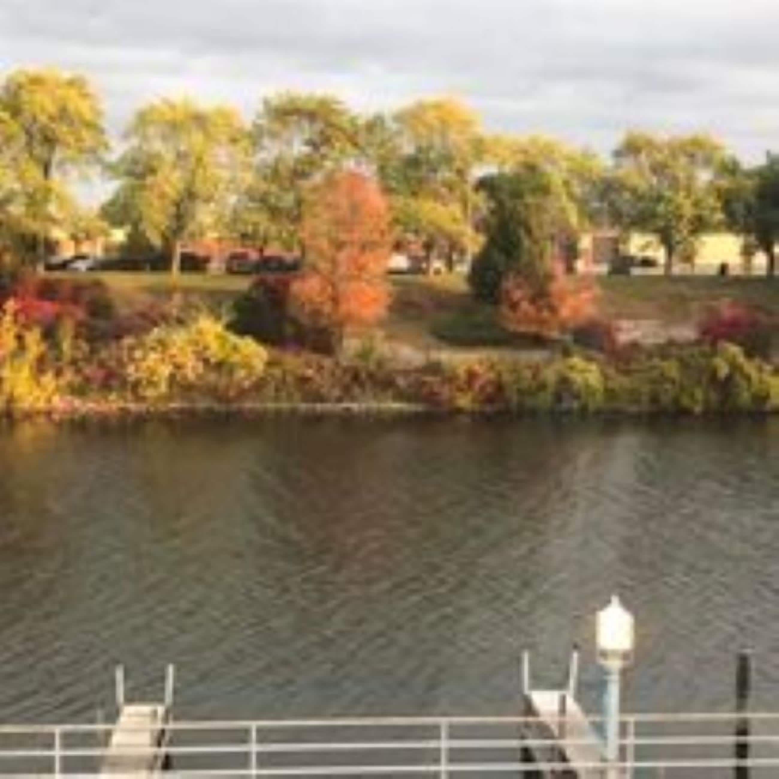 华丽双人房 | 客房景观