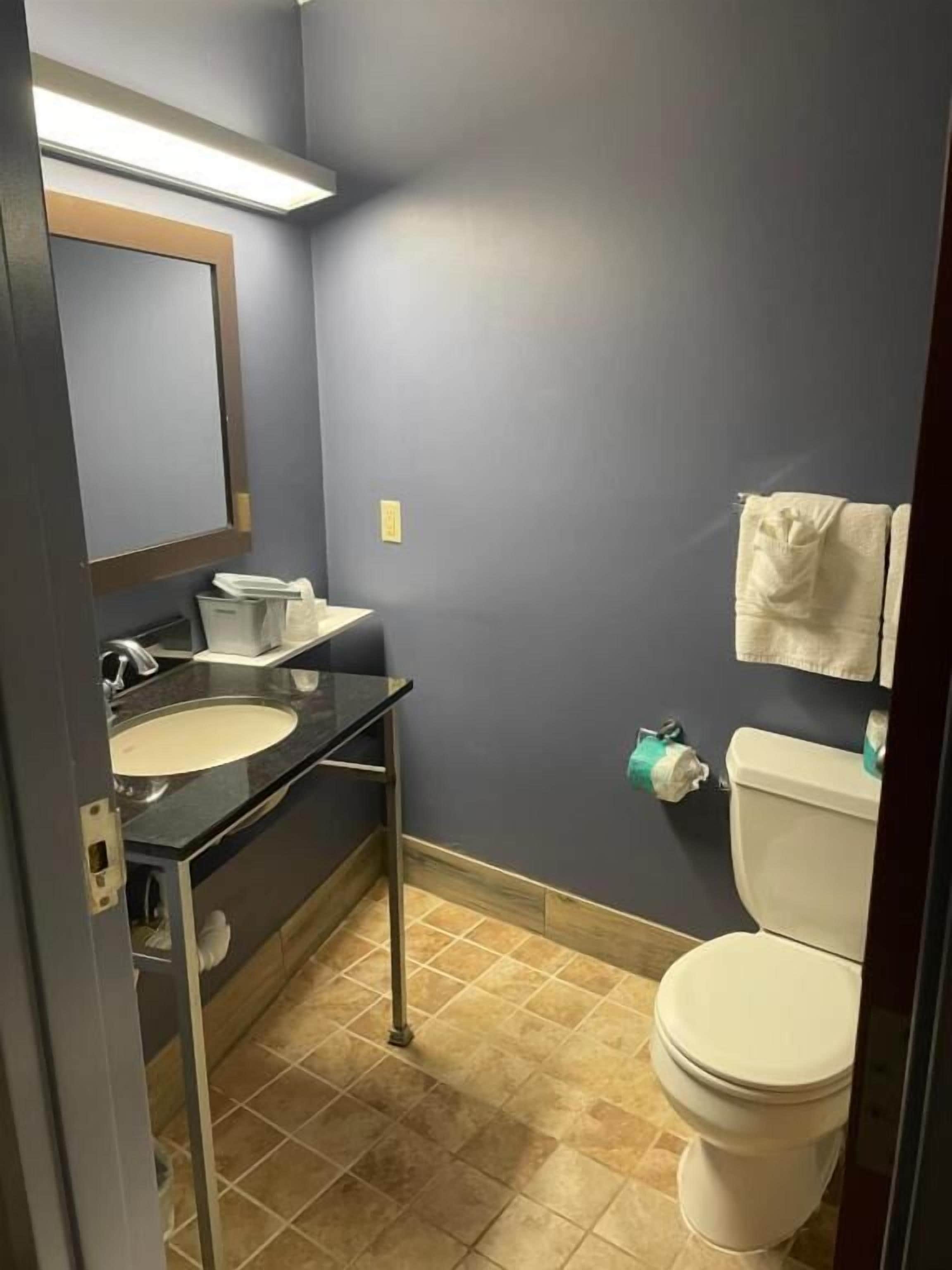Une salle de bain avec un lavabo, un miroir et des toilettes.