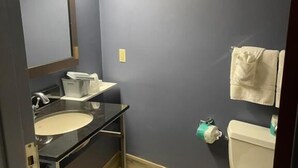 A bathroom with a sink, mirror, and toilet.