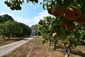 Overnatningsstedets område