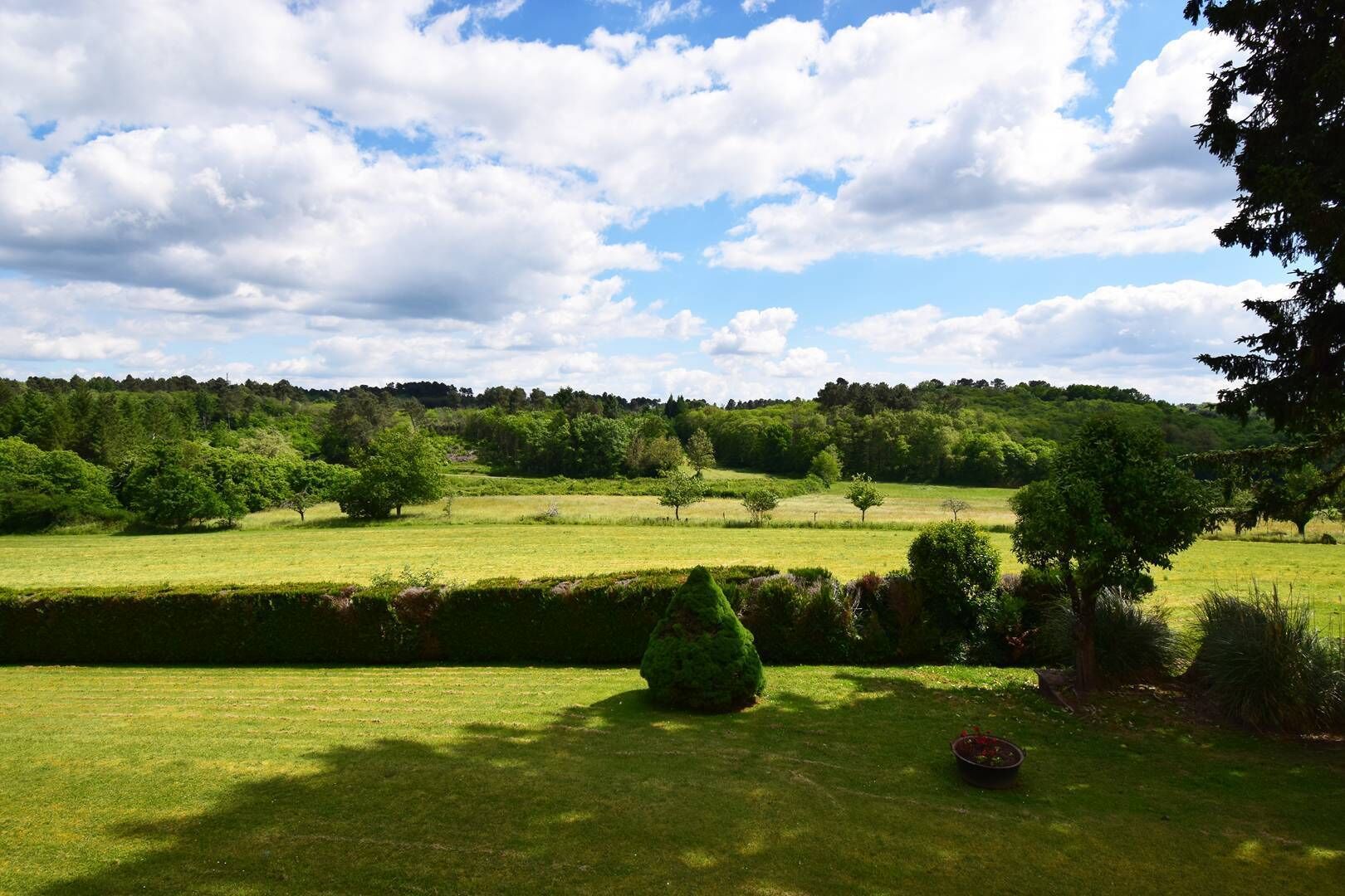 A well-maintained grassy field with scattered trees and a hedge in the foreground.