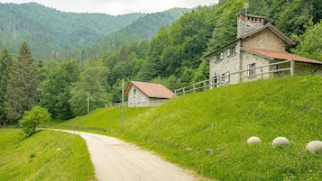 Esterni